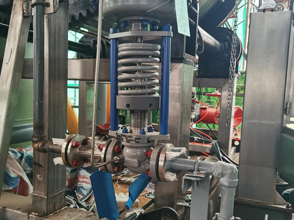 Naturgas Desulfurisierungsfilter Naturgas Desulfurisierungsfilter